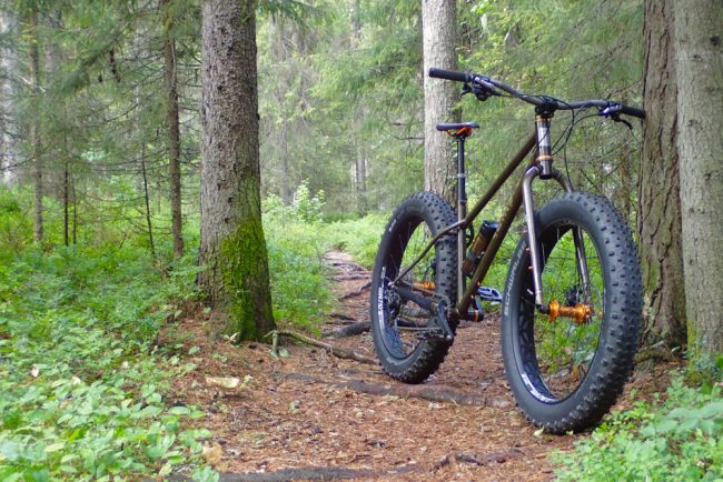 guns rose fat bike